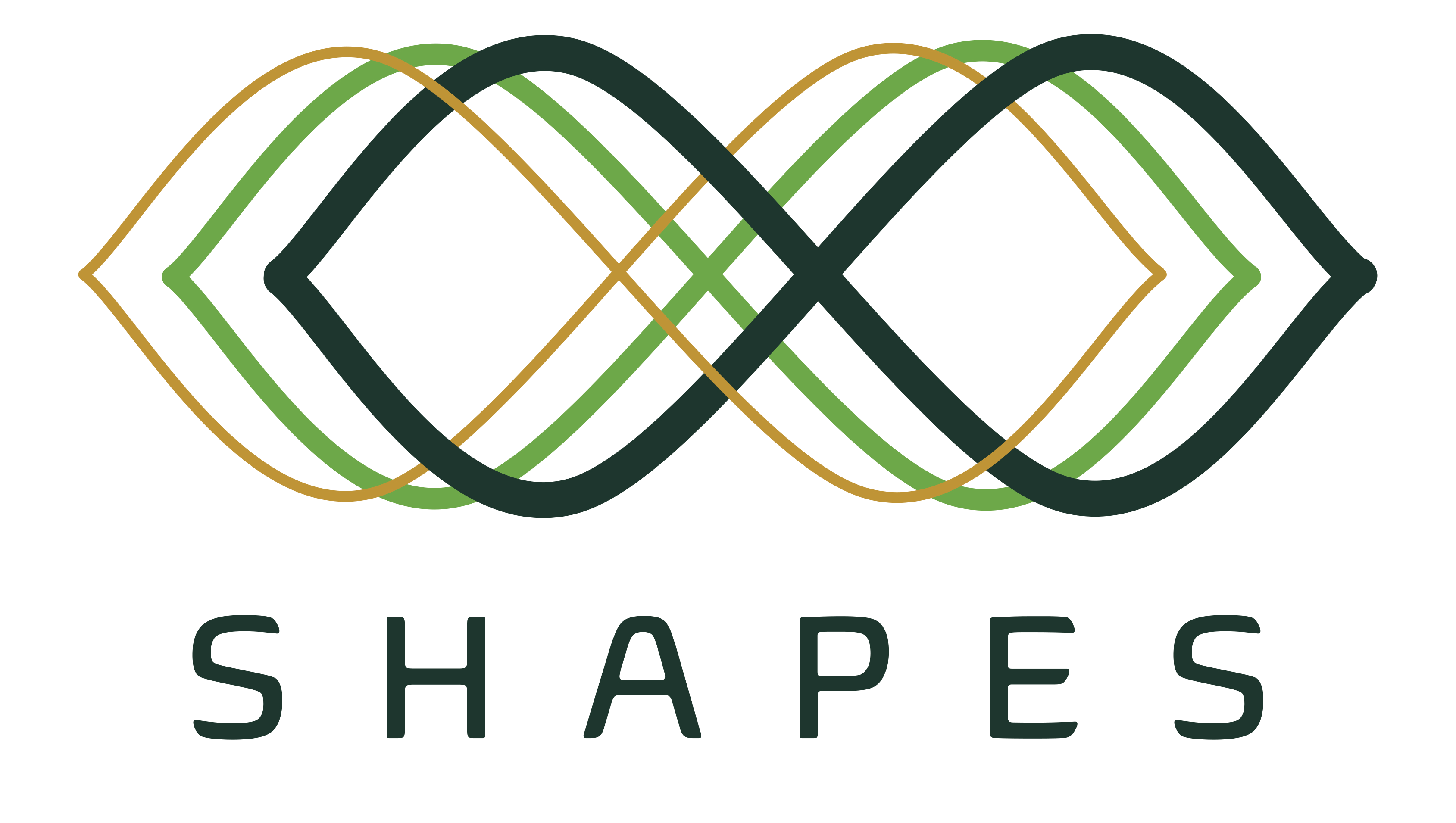 SHAPES logo