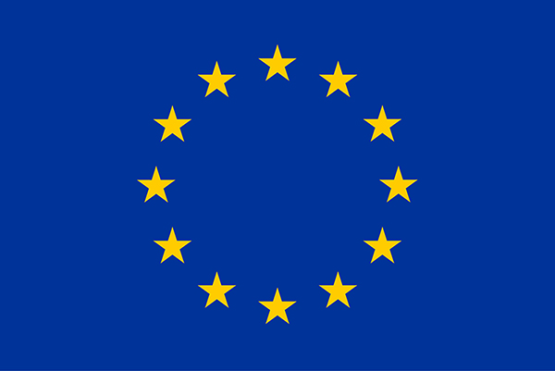 The European Union Flag