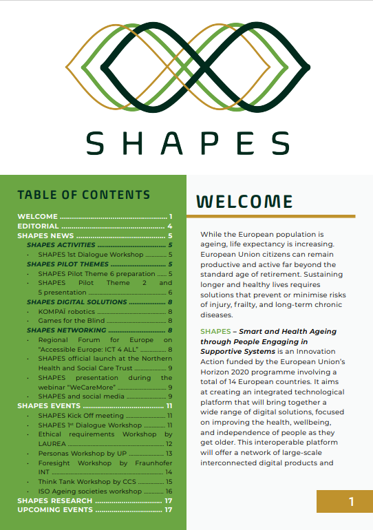 shapes newsletter 1st page preview