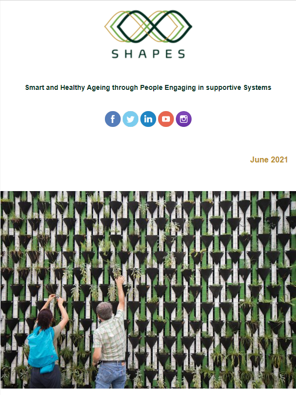 shapesnewsletter4 Cover Image of SHAPES newsletter 4 featuring two people in front of a wall