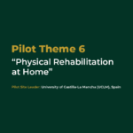  Pilot Theme 6: “Physical Rehabilitation at Home”
